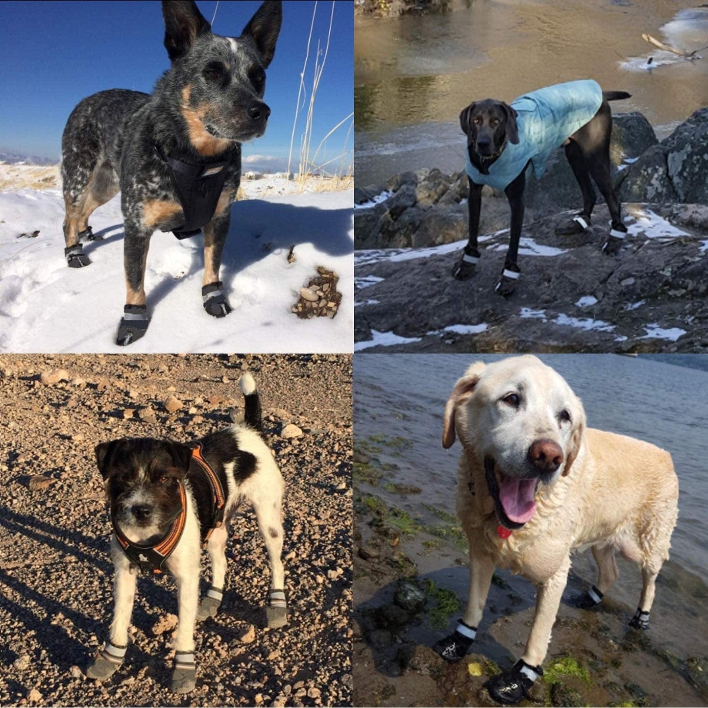 PROPLUMS Waterproof Dog Boots, Dog Hiking Shoes Protect the Paws from Injury, Suit for Labrador Husky and Other Medium Large Dogs, Grid Anti-Skid Design 4 Pcs (Size 8: 3.3"X2.9") … Animals & Pet Supplies > Pet Supplies > Dog Supplies > Dog Apparel Pro Plums