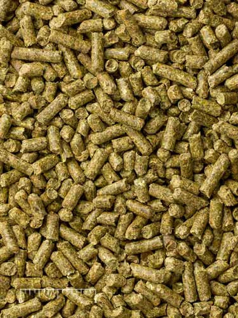 Purina Mills Mazuri Chinchilla Chow, 25 Lb. Animals & Pet Supplies > Pet Supplies > Small Animal Supplies > Small Animal Food Mazuri