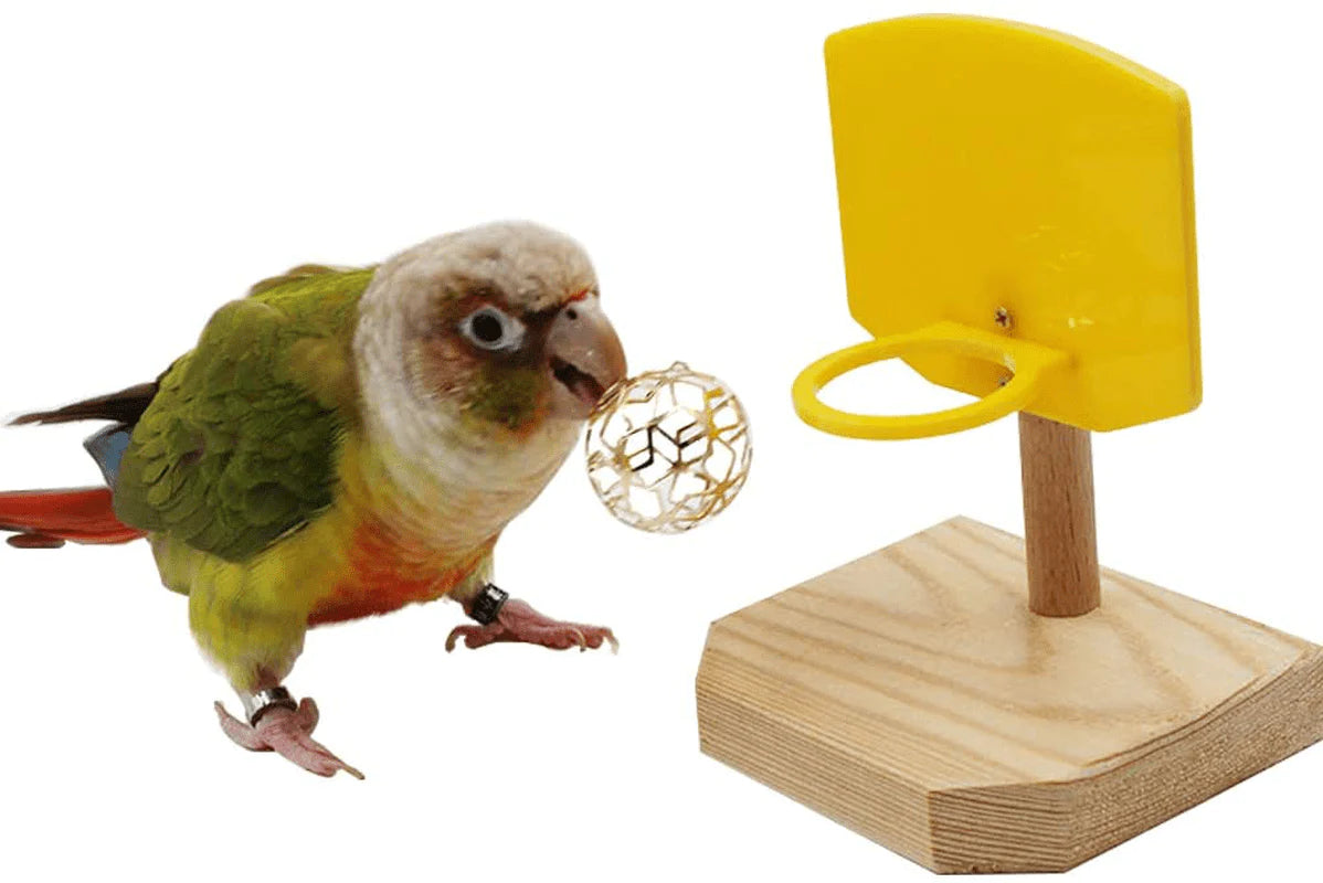 QBLEEV Bird Toys, Bird Trick Tabletop Toys, Training Basketball Stacking Color Ring Toys Sets, Parrot Chew Ball Foraing Toys, Education Play Gym Playground Activity Cage Foot Toys Animals & Pet Supplies > Pet Supplies > Bird Supplies > Bird Gyms & Playstands QBLEEV basketball toys