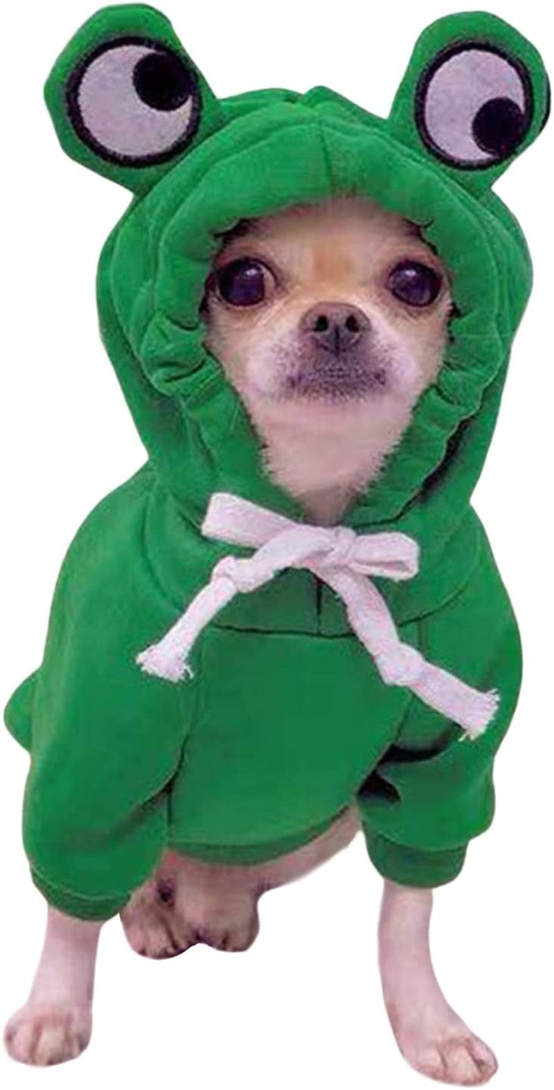 Hoodie Halloween Costume: Frog