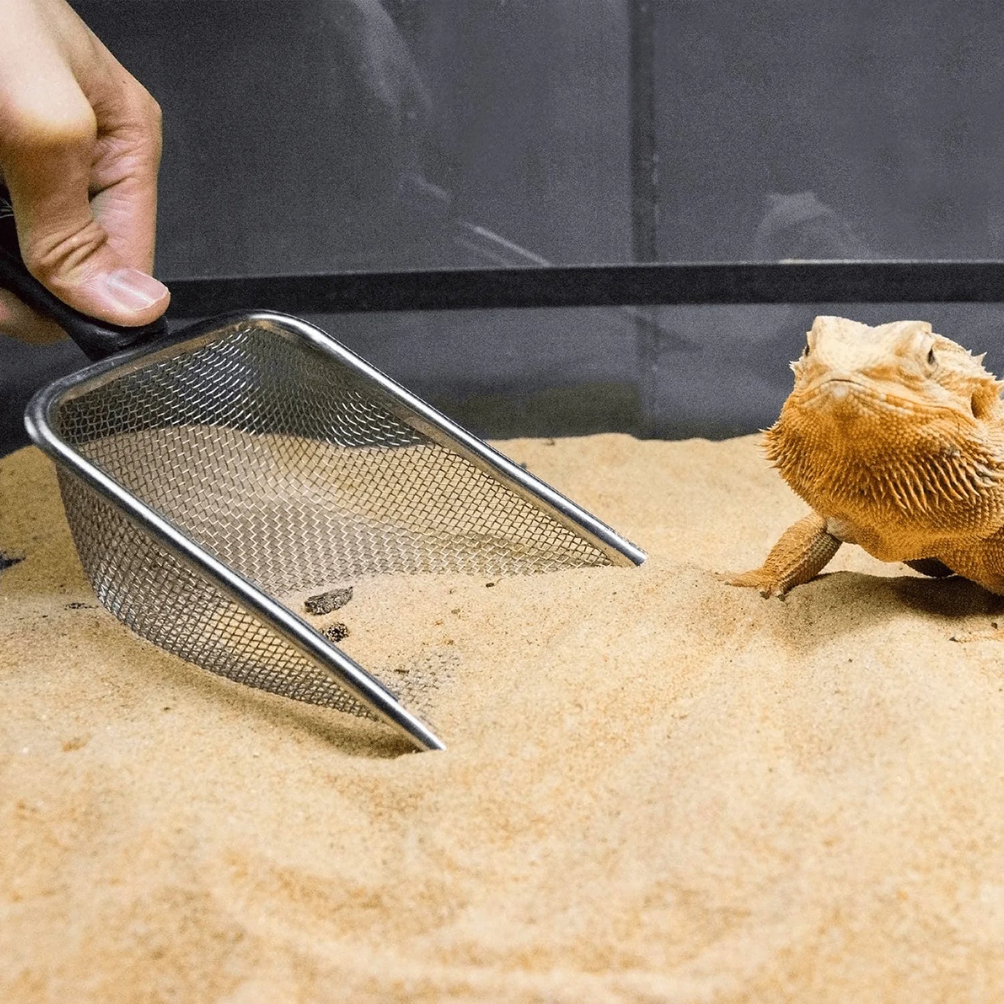 REPTI ZOO Reptile Sand Stainless Steel Fine Mesh Reptile Substrate Metal Sand Shovel Terrarium Substrate Durable Litter Cleaner Corner Scoop Animals & Pet Supplies > Pet Supplies > Fish Supplies > Aquarium Gravel & Substrates REPTI ZOO