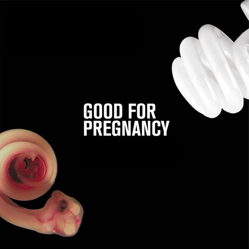 ✪ Reptile UVB Energy Saving Tortoise Basking Spiral Lamp Heat Light Bulb for Reptiles Truly Sun-Like Bright Amphibian Pet Eston