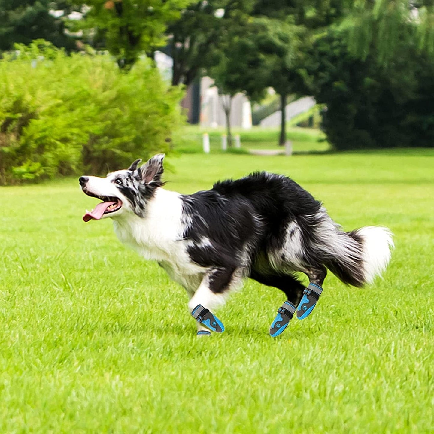 Rypet Dog Boots for Hot Pavement Shoes for Medium Large Dogs Breathable Mesh Dog Summer Shoes with Reflective Strips Rugged Anti-Slip Sole Blue 4PCS Animals & Pet Supplies > Pet Supplies > Dog Supplies > Dog Apparel RYPET