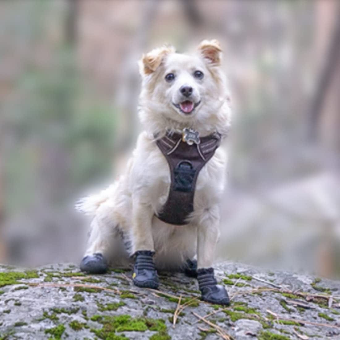 Tänzedzm Dog Boots, Waterproof Breathable Dog Shoes with Reflective Webbing, Non-Slip Dog Shoes, Suitable for Medium and Large Dogs 4Pcs (Size1:W:1.6" for 14 Lbs, RED) Animals & Pet Supplies > Pet Supplies > Dog Supplies > Dog Apparel MGZCW