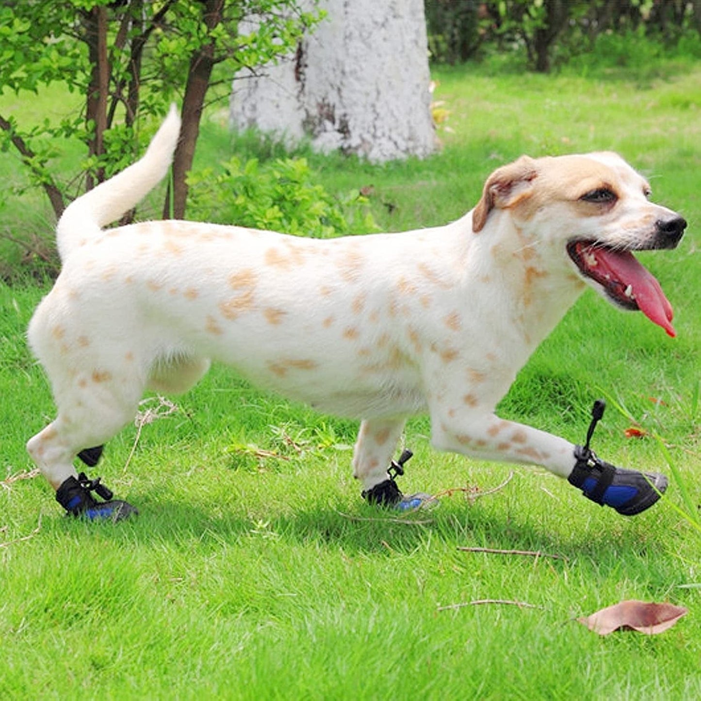 TOOPONE 4Pcs Dog Shoes Reflective Lacing Waterproof Dog Shoes Non-Slip Dog Shoes Four Seasons Outdoor Pet Shoes, Blue (2#) Animals & Pet Supplies > Pet Supplies > Dog Supplies > Dog Apparel TOOPONE