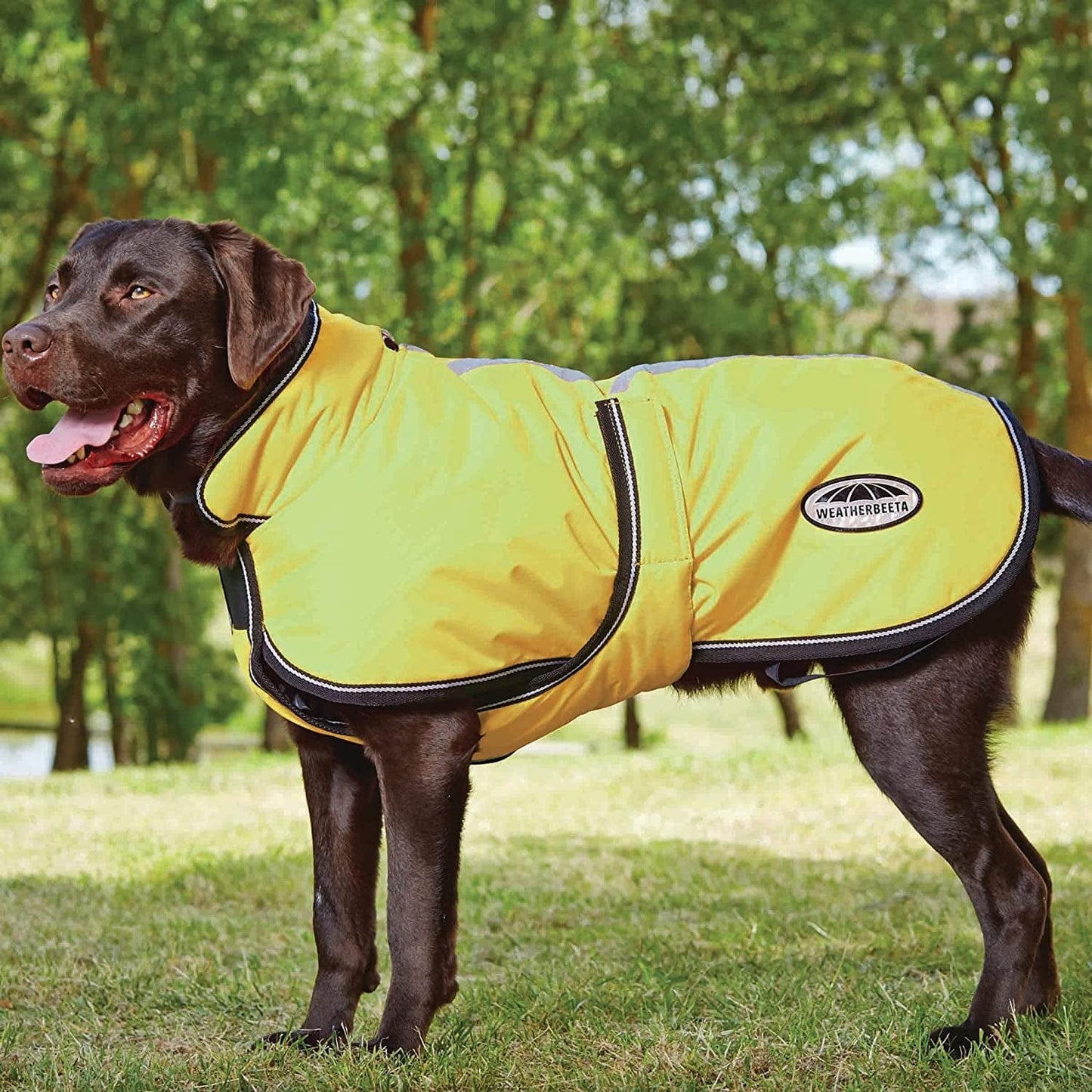 Weatherbeeta Comfitec Reflective Parka 300D Deluxe Dog Coat - Orange - 20" Animals & Pet Supplies > Pet Supplies > Dog Supplies > Dog Apparel Weatherbeeta USA Inc. Yellow 16"