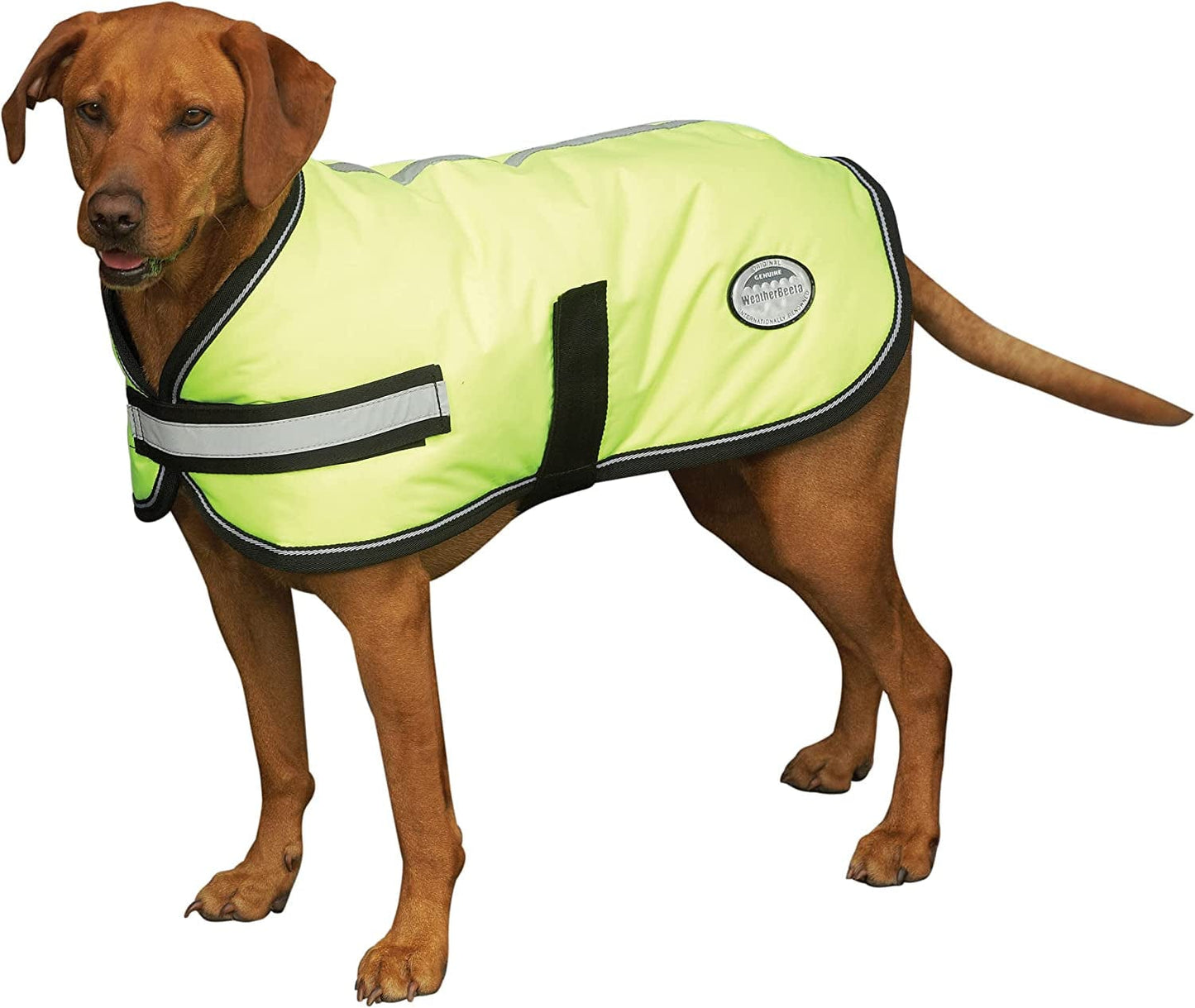 Weatherbeeta Comfitec Reflective Parka 300D Dog Coat - Orange - 24" Animals & Pet Supplies > Pet Supplies > Dog Supplies > Dog Apparel Weatherbeeta USA Inc. Yellow 32"