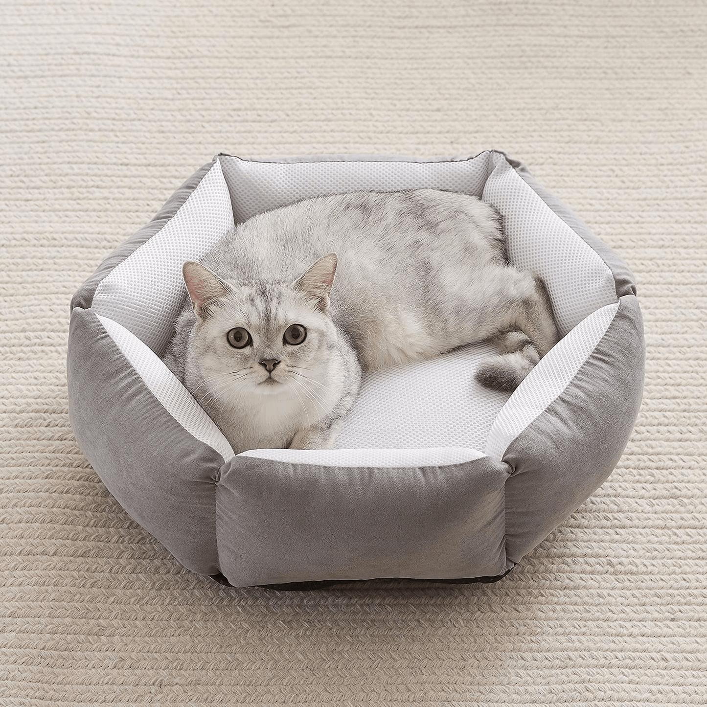 Western Home Cat Beds for Indoor Cats Dogs, Kitty Puppy Kitten Bed round Soft Plush Flannel Pet Cushions Beds Washable Animals & Pet Supplies > Pet Supplies > Cat Supplies > Cat Beds WESTERN HOME WH Grey Cooling