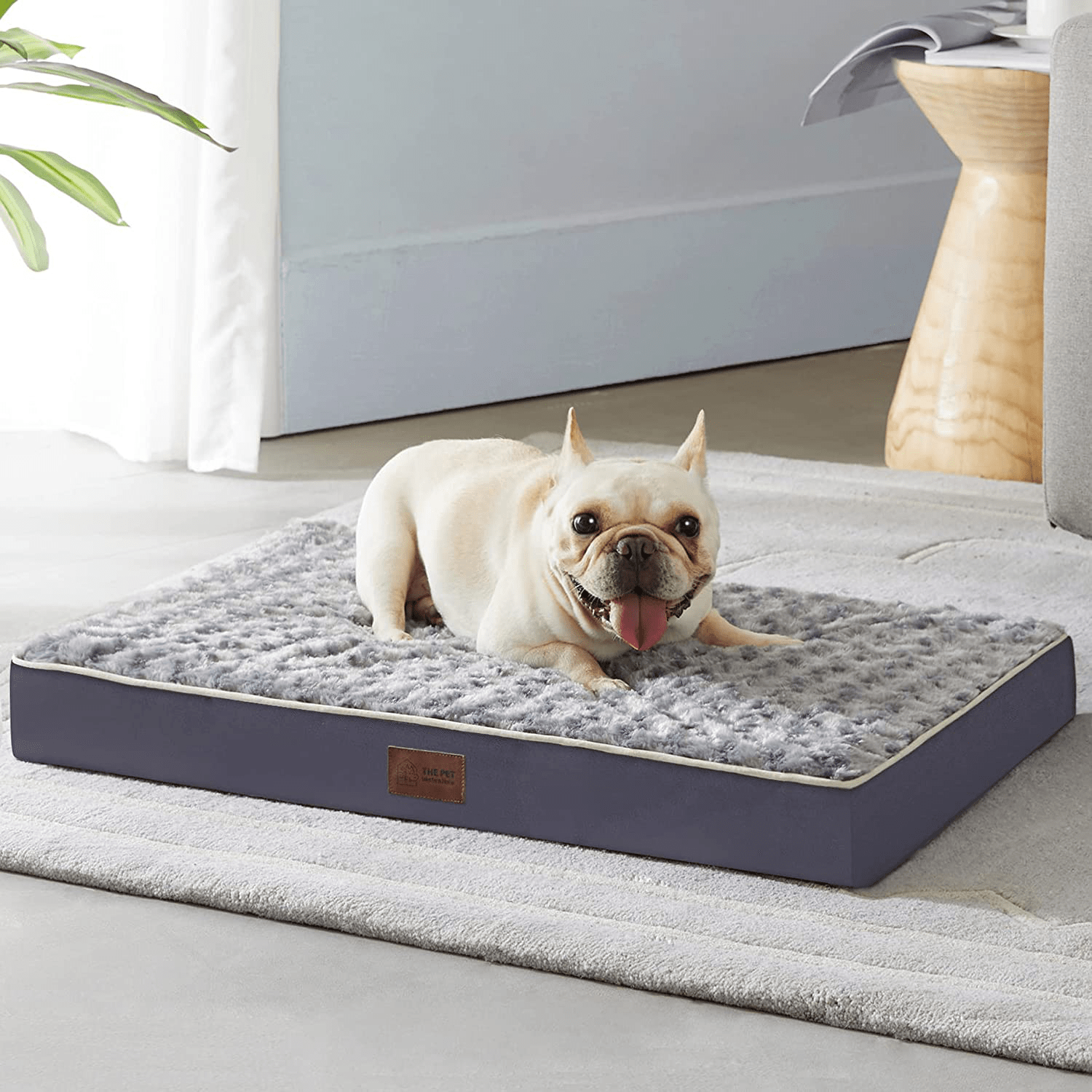 Thick sales dog beds