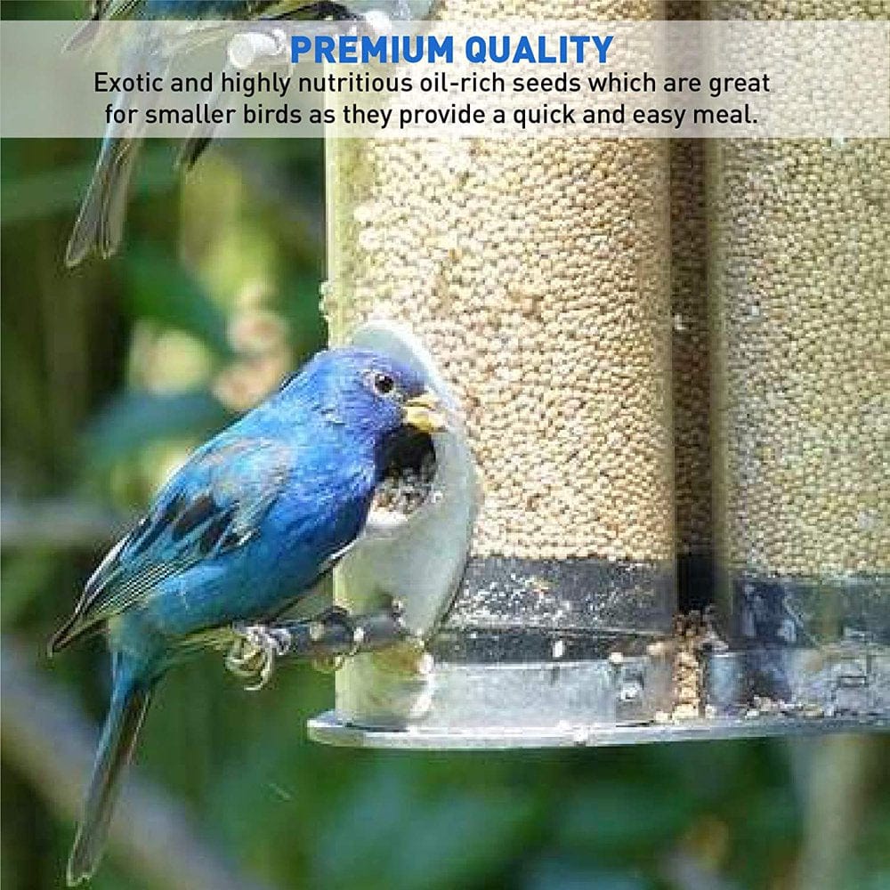 White Millet Wild Bird Food – 50 Lbs Animals & Pet Supplies > Pet Supplies > Bird Supplies > Bird Food EasyGoProducts
