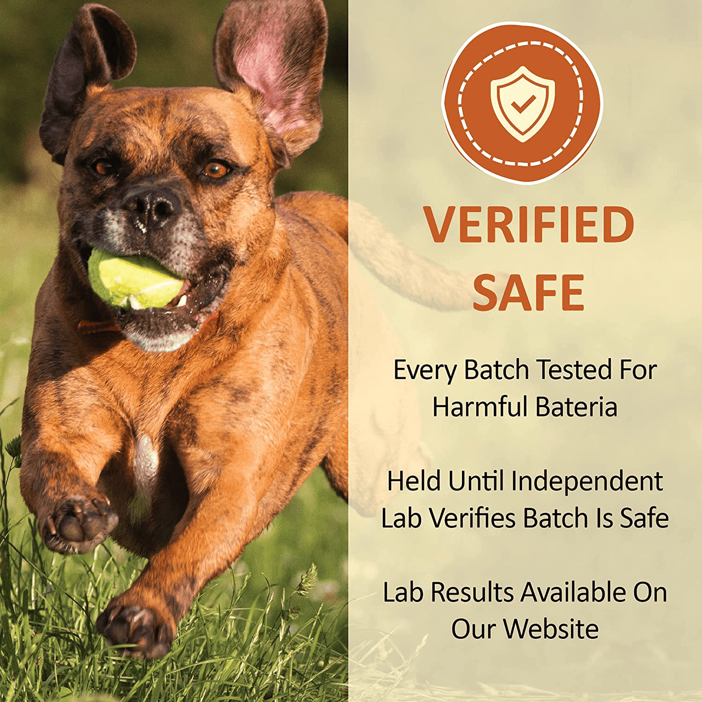 Whole Life Pet Products Healthy Cat Treats Animals & Pet Supplies > Pet Supplies > Cat Supplies > Cat Treats Whole Life Pet Products