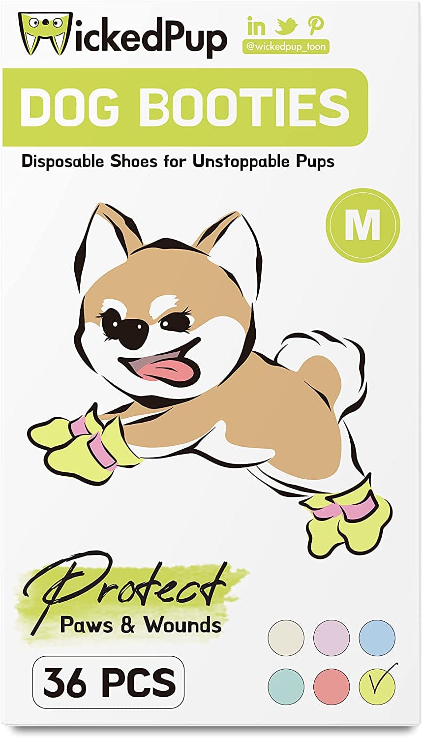 WICKEDPUP Dog Boots Paw Protection for Small Dogs, 36Ct | Disposable Pet Booties for Wound Recovery | Puppy Shoes with Adjustable Straps for Hardwood Floors, Hot Pavement (Blue, S: W 0.75 - 1.25") Animals & Pet Supplies > Pet Supplies > Dog Supplies > Dog Apparel BUTTERFLIES ECOMMERCE US LTD Key Lime M: Width 1 - 1.5"