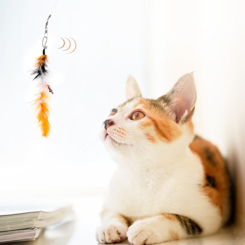Willstar Cat Toys Interactive Cat Feather Wand,Cat Fishing Pole Toy 12 Funny Pet Tunnel Cat Play Kitten Stick Mouse Cats Stick Ball Toys Bulk Toy Animals & Pet Supplies > Pet Supplies > Cat Supplies > Cat Toys Willstar