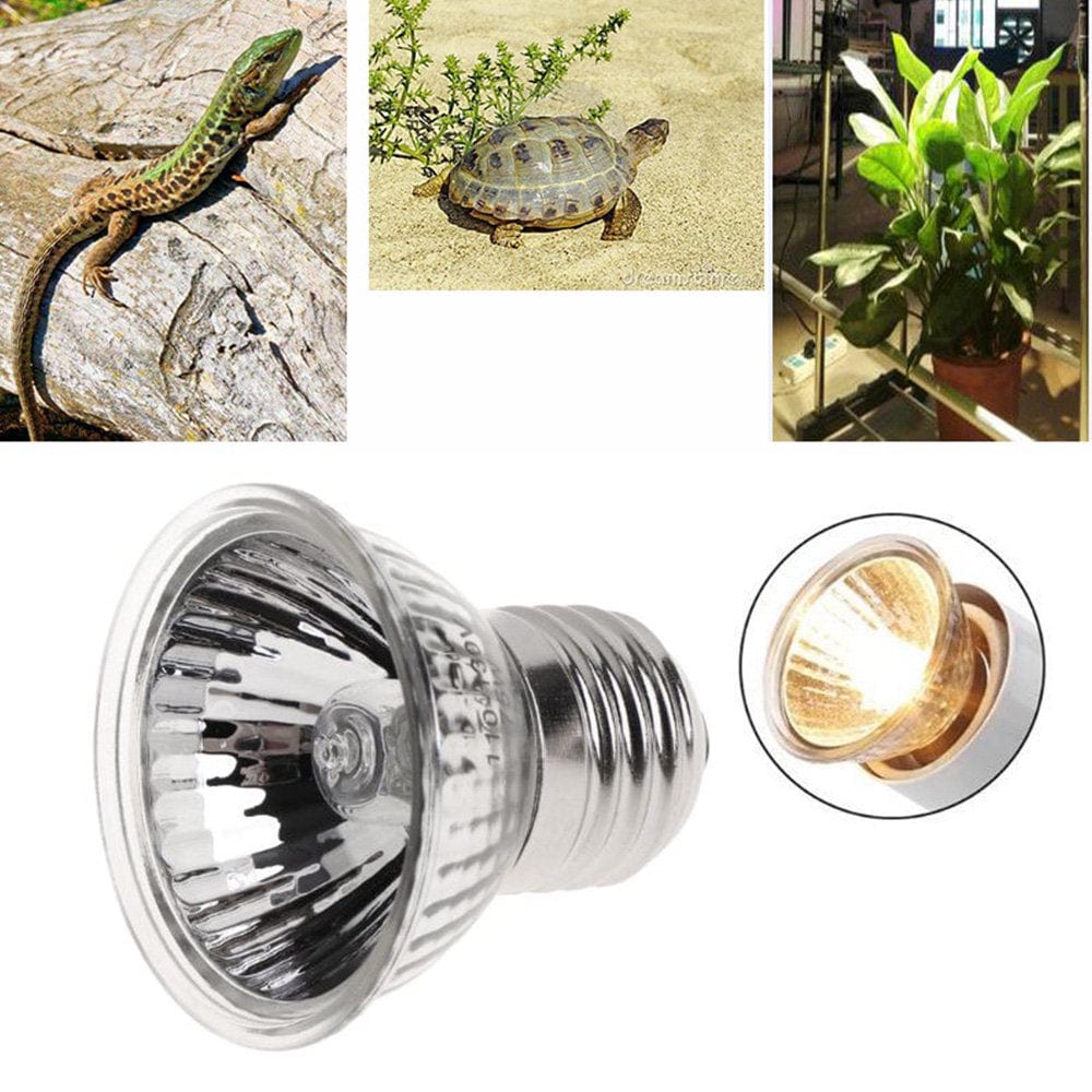 Winbang 25/50W Reptile Heat Lamp Turtle Tortoise Pet Basking UV Full Spectrum Bulbs Crawler Heating Lamp Amphibians Temperature Control Animals & Pet Supplies > Pet Supplies > Reptile & Amphibian Supplies > Reptile & Amphibian Habitat Heating & Lighting Winbang