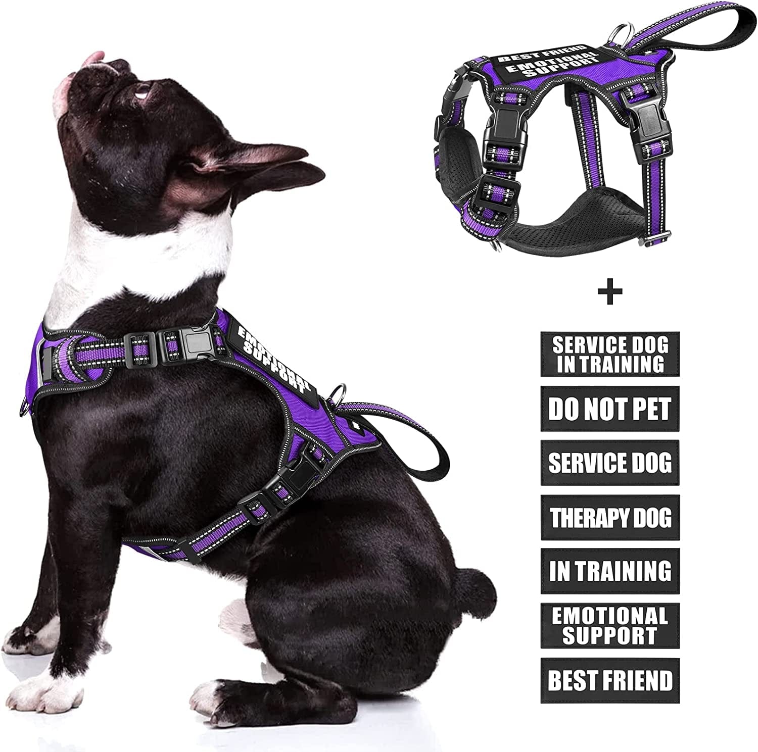 WINSEE Service Dog Vest No Pull Dog Harness with 7 Dog Patches, Reflective Pet Harness with Durable Soft Padded Handle for Training Small, Medium, Large, and Extra-Large Dogs (Large, Red) Animals & Pet Supplies > Pet Supplies > Dog Supplies > Dog Apparel WINSEE Purple Medium 