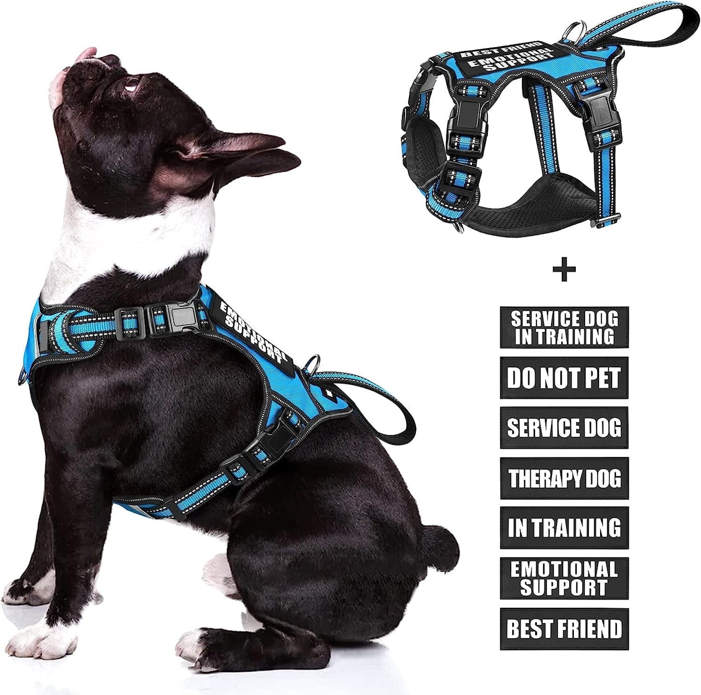 WINSEE Service Dog Vest No Pull Dog Harness with 7 Dog Patches, Reflective Pet Harness with Durable Soft Padded Handle for Training Small, Medium, Large, and Extra-Large Dogs (Large, Red) Animals & Pet Supplies > Pet Supplies > Dog Supplies > Dog Apparel WINSEE Blue Medium 