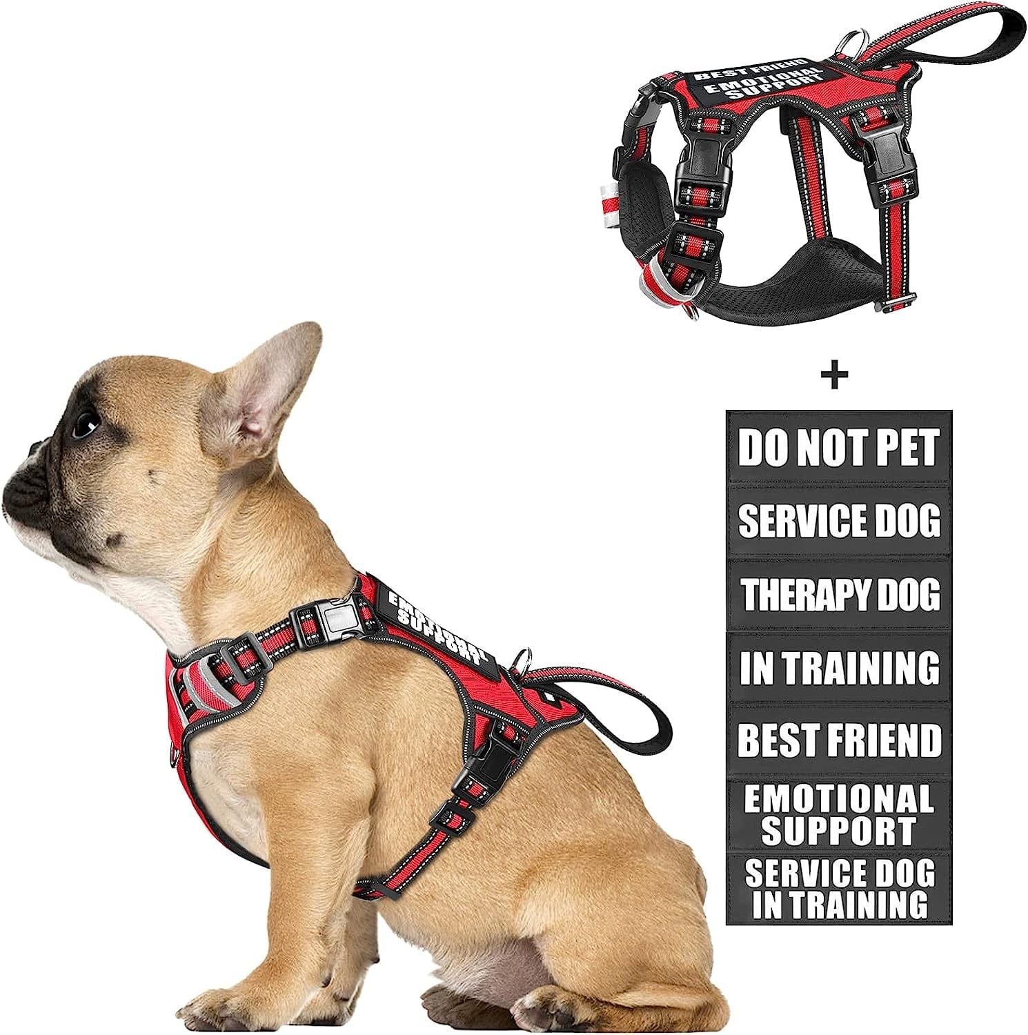 WINSEE Service Dog Vest No Pull Dog Harness with 7 Dog Patches, Reflective Pet Harness with Durable Soft Padded Handle for Training Small, Medium, Large, and Extra-Large Dogs (Large, Red) Animals & Pet Supplies > Pet Supplies > Dog Supplies > Dog Apparel WINSEE Red Small 