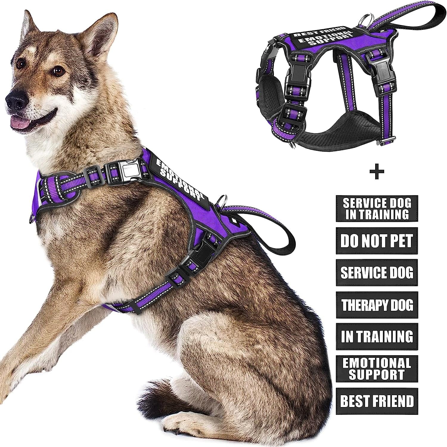 WINSEE Service Dog Vest No Pull Dog Harness with 7 Dog Patches, Reflective Pet Harness with Durable Soft Padded Handle for Training Small, Medium, Large, and Extra-Large Dogs (Large, Red) Animals & Pet Supplies > Pet Supplies > Dog Supplies > Dog Apparel WINSEE Purple X-Large 