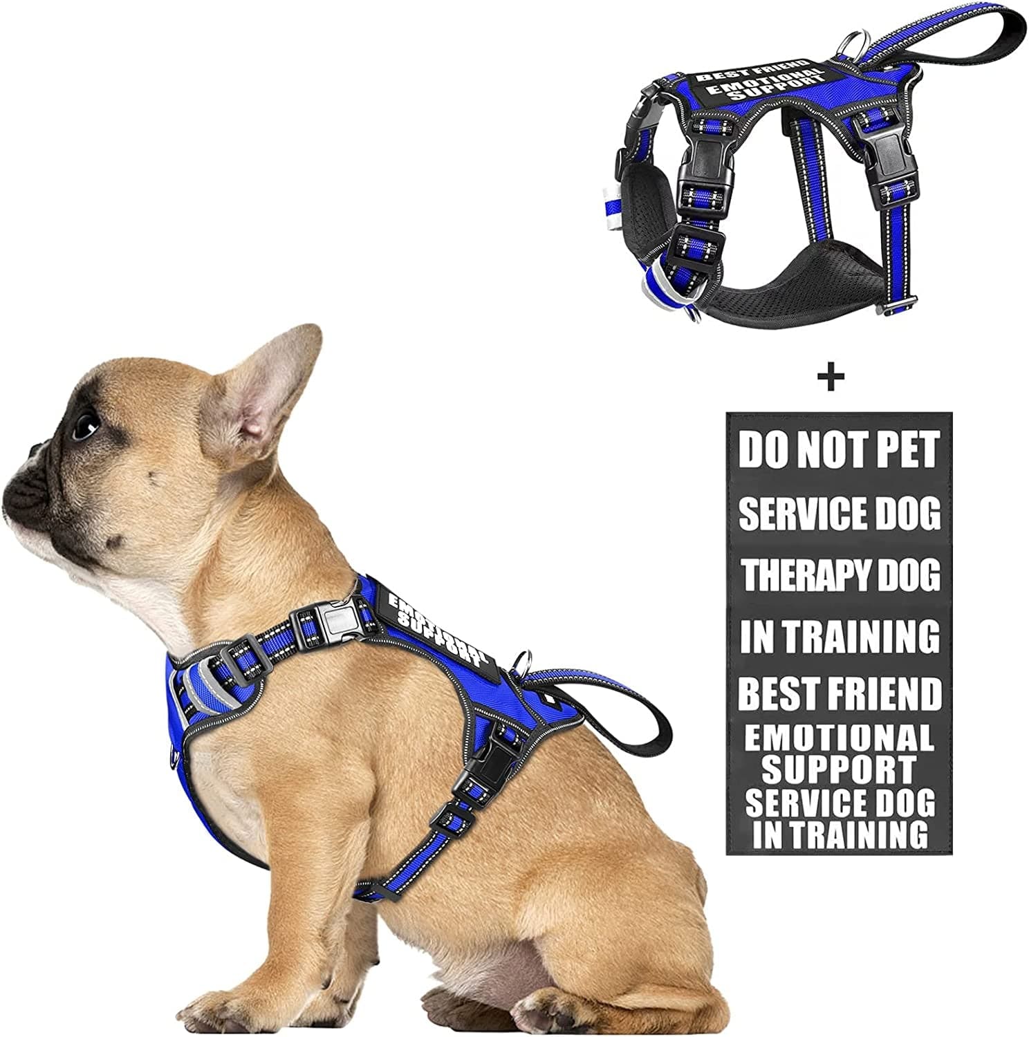 WINSEE Service Dog Vest No Pull Dog Harness with 7 Dog Patches, Reflective Pet Harness with Durable Soft Padded Handle for Training Small, Medium, Large, and Extra-Large Dogs (Large, Red) Animals & Pet Supplies > Pet Supplies > Dog Supplies > Dog Apparel WINSEE Dark Blue Small 