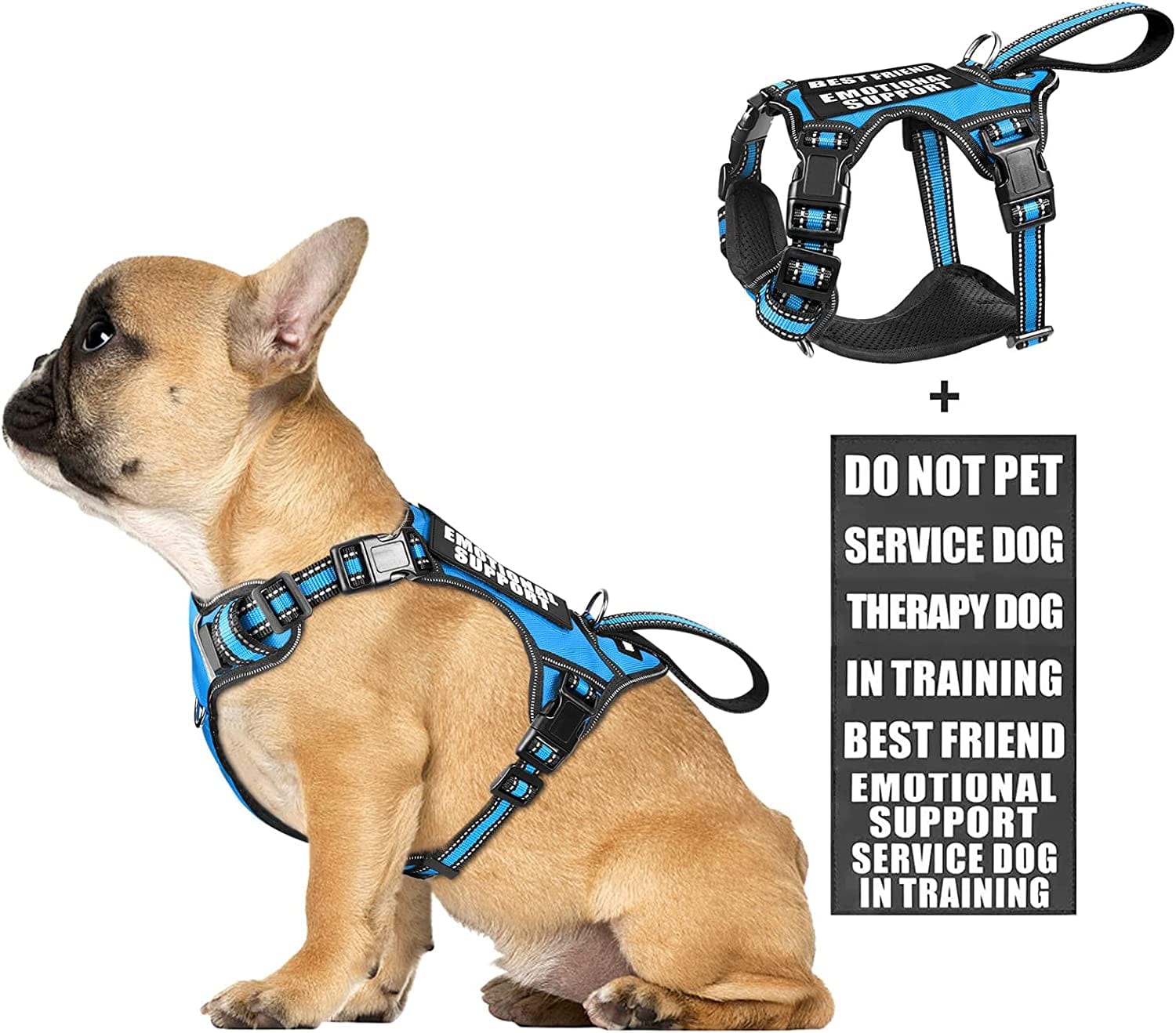 WINSEE Service Dog Vest No Pull Dog Harness with 7 Dog Patches, Reflective Pet Harness with Durable Soft Padded Handle for Training Small, Medium, Large, and Extra-Large Dogs (Large, Red) Animals & Pet Supplies > Pet Supplies > Dog Supplies > Dog Apparel WINSEE Blue Small 