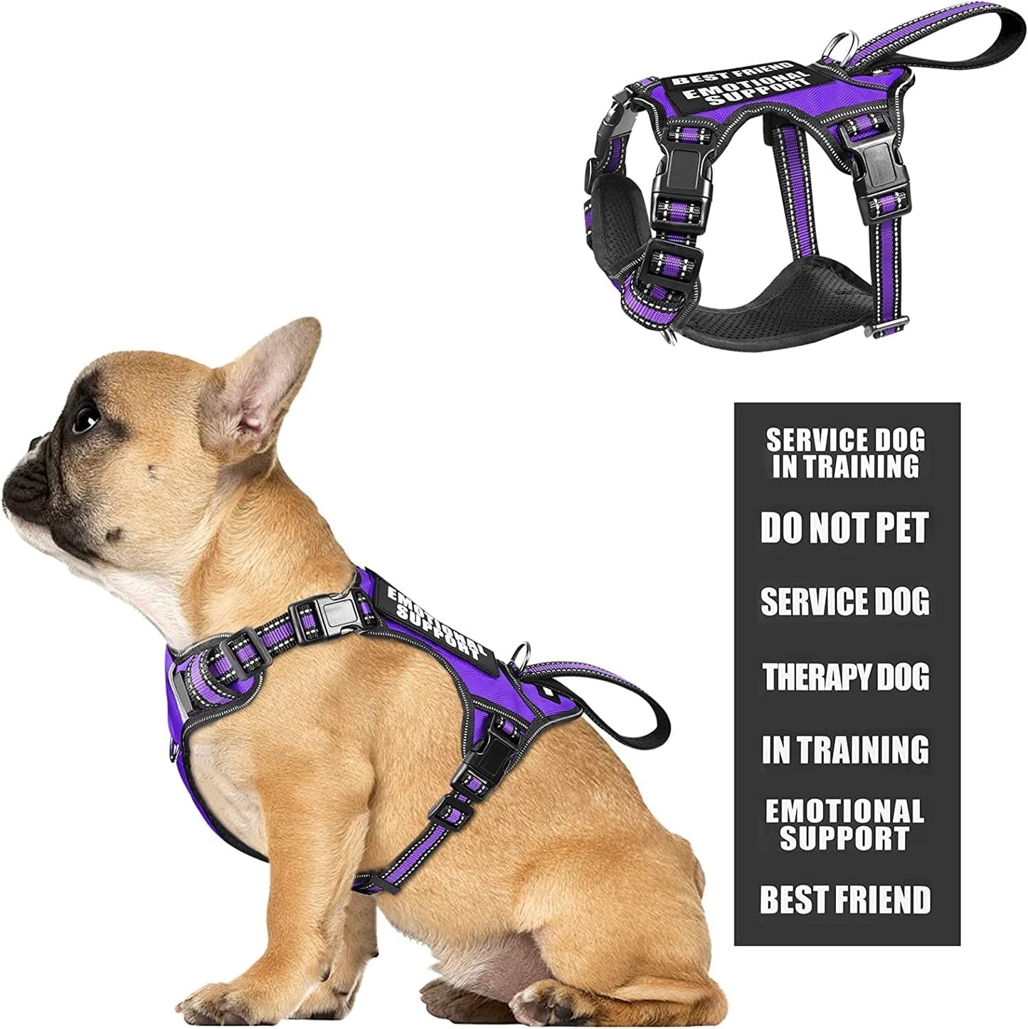 WINSEE Service Dog Vest No Pull Dog Harness with 7 Dog Patches, Reflective Pet Harness with Durable Soft Padded Handle for Training Small, Medium, Large, and Extra-Large Dogs (Large, Red) Animals & Pet Supplies > Pet Supplies > Dog Supplies > Dog Apparel WINSEE Purple Small 