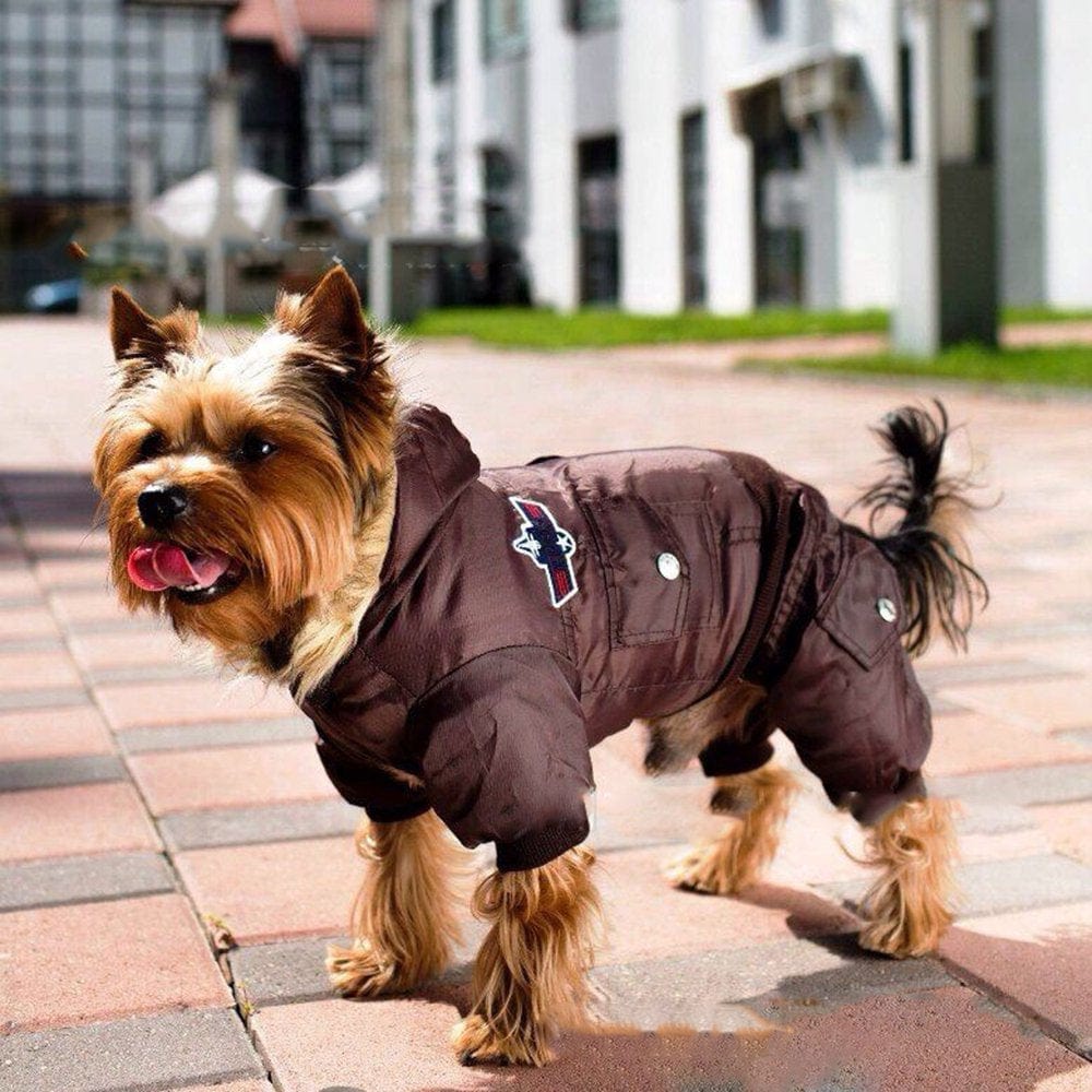 Winter Warm Small Dog Coats, Cozy Waterproof Windproof Dog Vest, Winter Warm Dog Apparel, Puppy Warm Fleece down Jackets Clothes, Pet Dogs Padded Vest Harness, Warm Fleece Padded Pet Vest, S-XL, Red Animals & Pet Supplies > Pet Supplies > Dog Supplies > Dog Apparel LINKABC