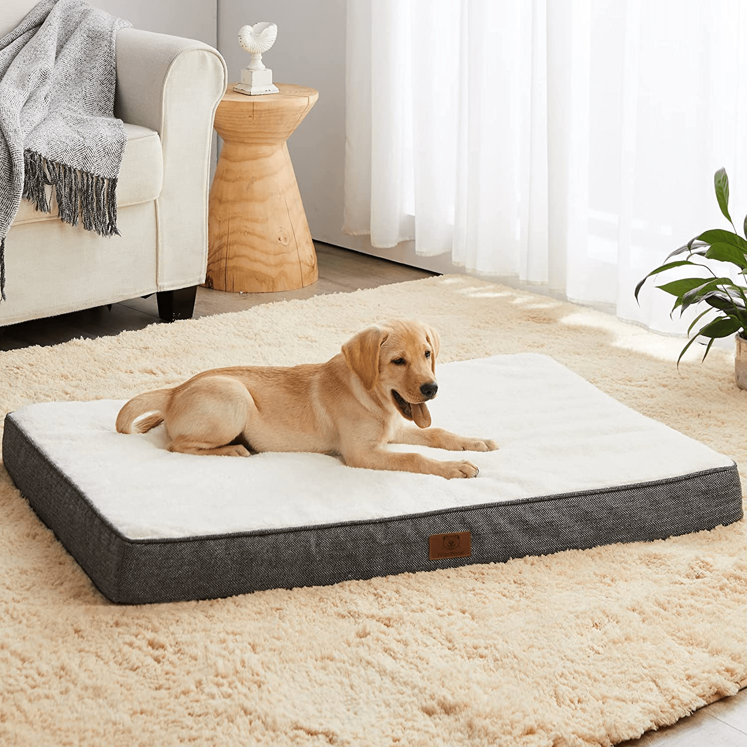 WNPETHOME Dog Beds for Large Dogs Orthopedic Dog Bed for Medium