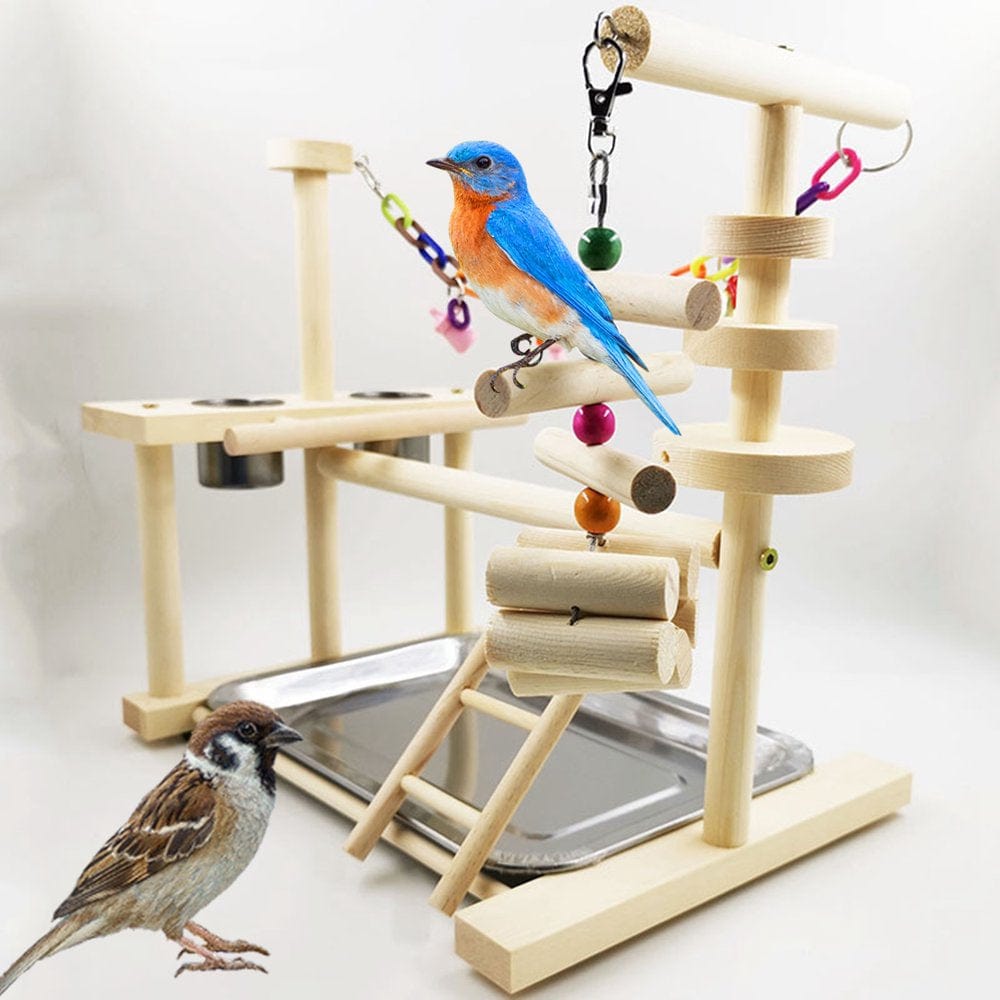 Wood Parrot Playstand Gym Ladder Bird Play Stand Exercise Cockatiel Playpen Animals & Pet Supplies > Pet Supplies > Bird Supplies > Bird Gyms & Playstands Colcolo