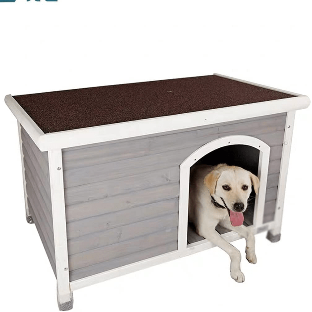 Underground 2024 dog kennel