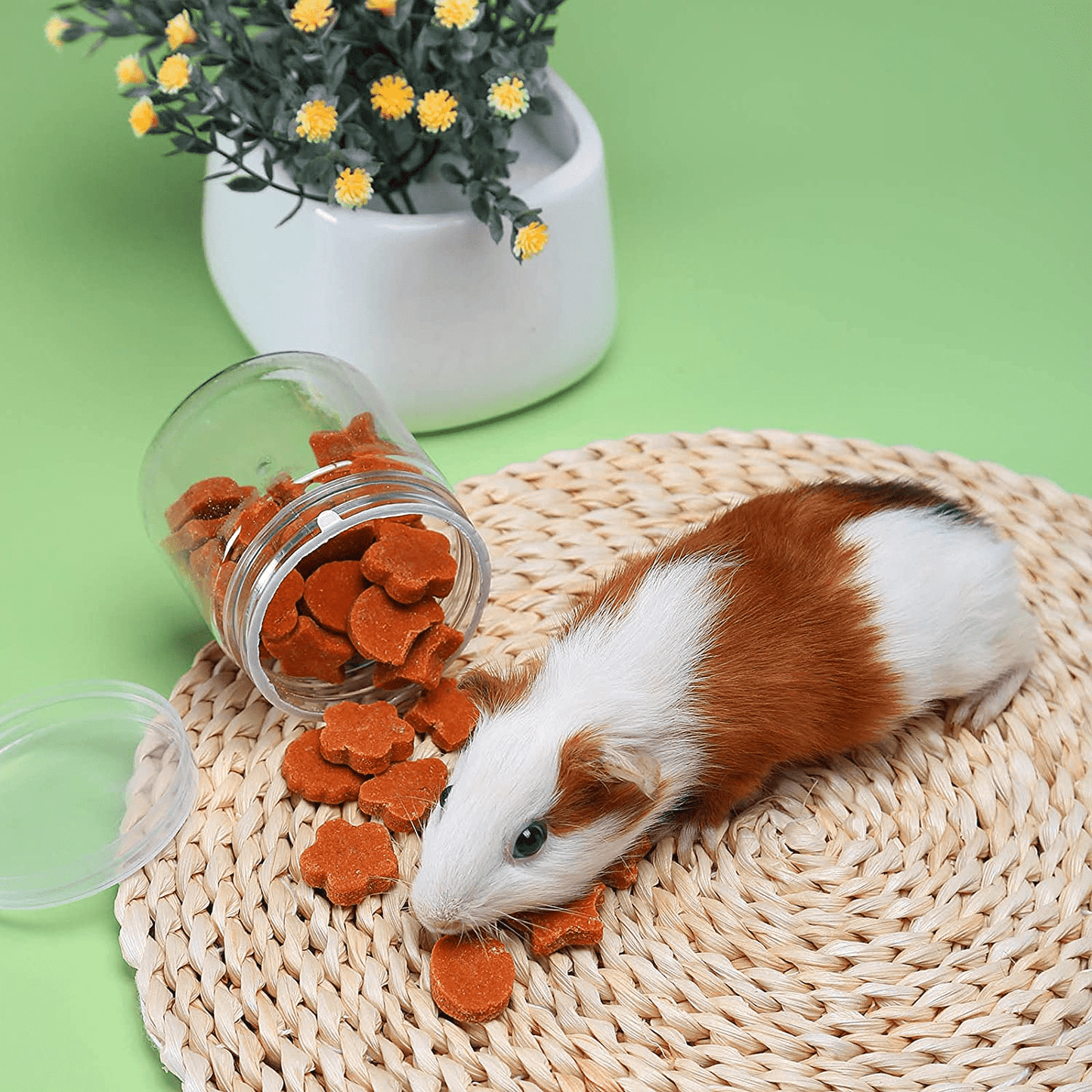 X-Pet Rabbit Chew Toys, Guinea Pig Treats 100% Natural Material Garden Stuff Flavored Biscuit&Grass Cake, Small Animals Teeth Grinding Chewing Suitable for Bunny Hamster Chinchilla Dwarf Gerbils Animals & Pet Supplies > Pet Supplies > Small Animal Supplies > Small Animal Food X-pet