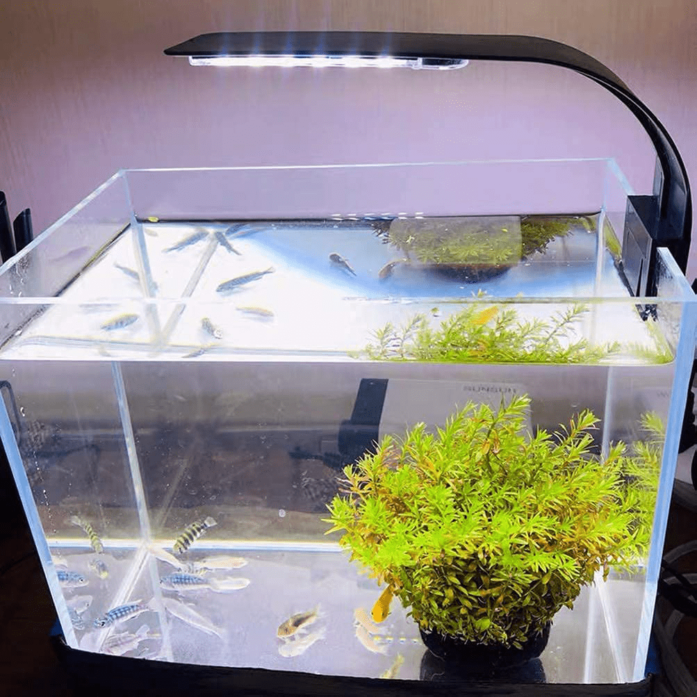 XEOGUIYA 10W Clip on Led Lamp Aquarium, 5730 24 Led Lights for 10-15Inch Fish Tank Aquatic Plant Lighting Animals & Pet Supplies > Pet Supplies > Fish Supplies > Aquarium Lighting Guinio