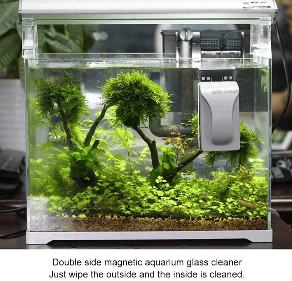 XXDYF Strong Magnetic Fish Tank Cleaning, Floating Aquarium Magnet Cleaning Equipment Algae Scraper Kits for Acrylic and Glass Fish Tank Animals & Pet Supplies > Pet Supplies > Fish Supplies > Aquarium Cleaning Supplies XXDYF