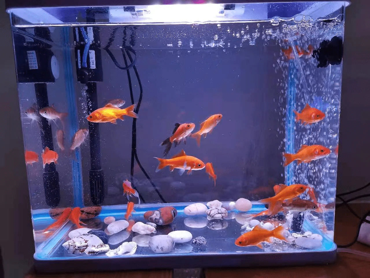 YGTGZ 10 PCS 1 Inch Air Stones Cylinder Bubble Diffuser Airstones for Aquarium Fish Tank Pump Blue Animals & Pet Supplies > Pet Supplies > Fish Supplies > Aquarium Air Stones & Diffusers YGTGZ