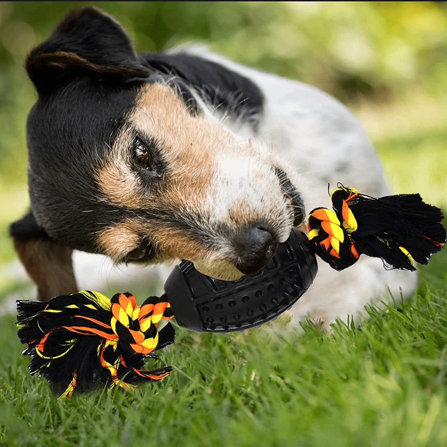 Yipetor Durable Dog Chew Toys 6 Pack, Cotton Rope Rubber Balls Chew Toy, Indestructible, Convex Design for Puppy Small Medium Large Dogs, Tug of War, Fetching, Puppy Teething Toy for Boredom, Gift Animals & Pet Supplies > Pet Supplies > Dog Supplies > Dog Toys Yipetor
