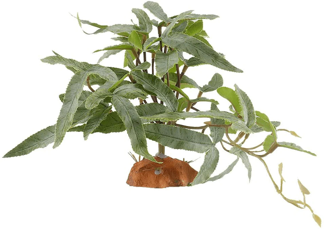 YOGURTCK Reptile Artificial Plants, Amphibian Habitat Hideout, Terrarium Decorations Animals & Pet Supplies > Pet Supplies > Reptile & Amphibian Supplies > Reptile & Amphibian Habitat Accessories YOGURTCK C-pteridium