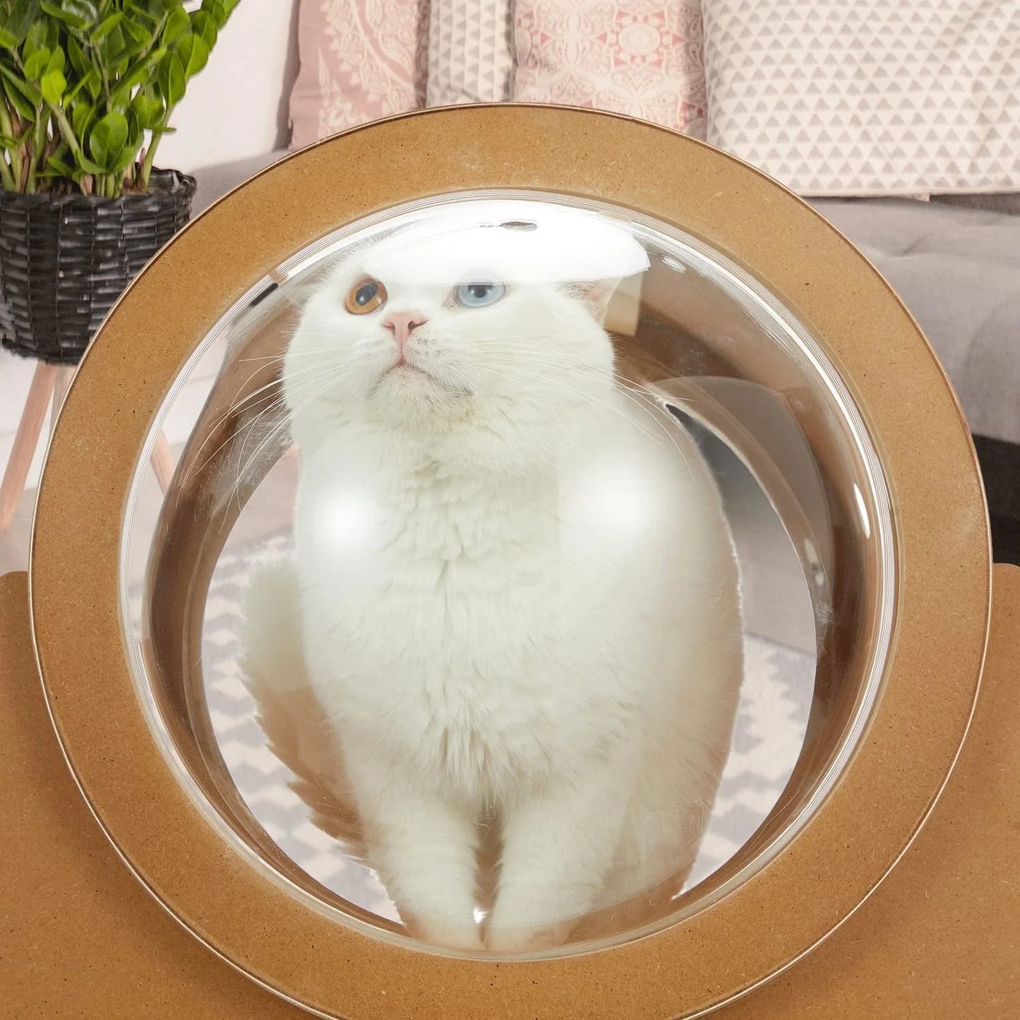 Yoleny Wooden Cat Bed Capsule Spaceship Gamma Cat Bed with Acrylic Dome, Indoor Cat House with Large Transparent Capsule for Mammals Animals & Pet Supplies > Pet Supplies > Cat Supplies > Cat Beds Yoleny