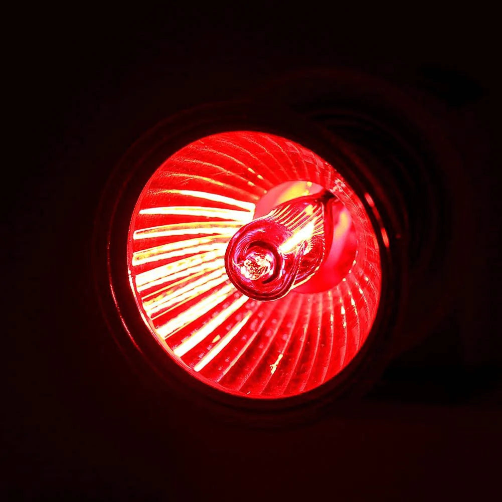 Yosoo UVA UVB Reptile Heat Lamp Bulb, E27 100Watt Reptile Heat Bulb Full Spectrum Sun Light Lamp Sunbathe Reptile Lizard Lamp UV Heating Lamp for Bearde Dragon Lizard Turtle Gecko Animals & Pet Supplies > Pet Supplies > Reptile & Amphibian Supplies > Reptile & Amphibian Habitat Heating & Lighting Yosoo