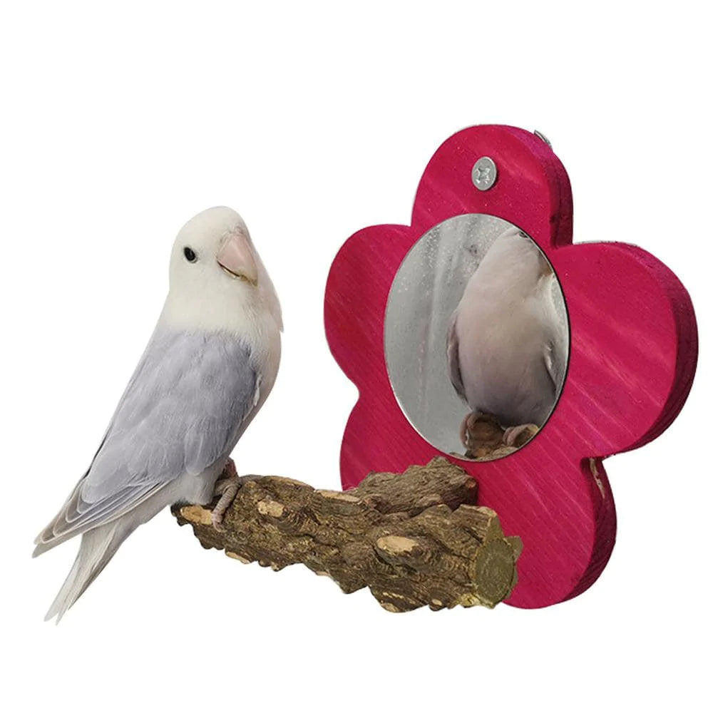 Younar Flower Bird Mirror with Perch Bird Parakeet Mirror for Cage Bird Stand Mirror Toys Birdcage Fun for Conure Cockatiel Budgie Gerbil African Grey Macaw Gorgeously Animals & Pet Supplies > Pet Supplies > Bird Supplies > Bird Cages & Stands Younar Red