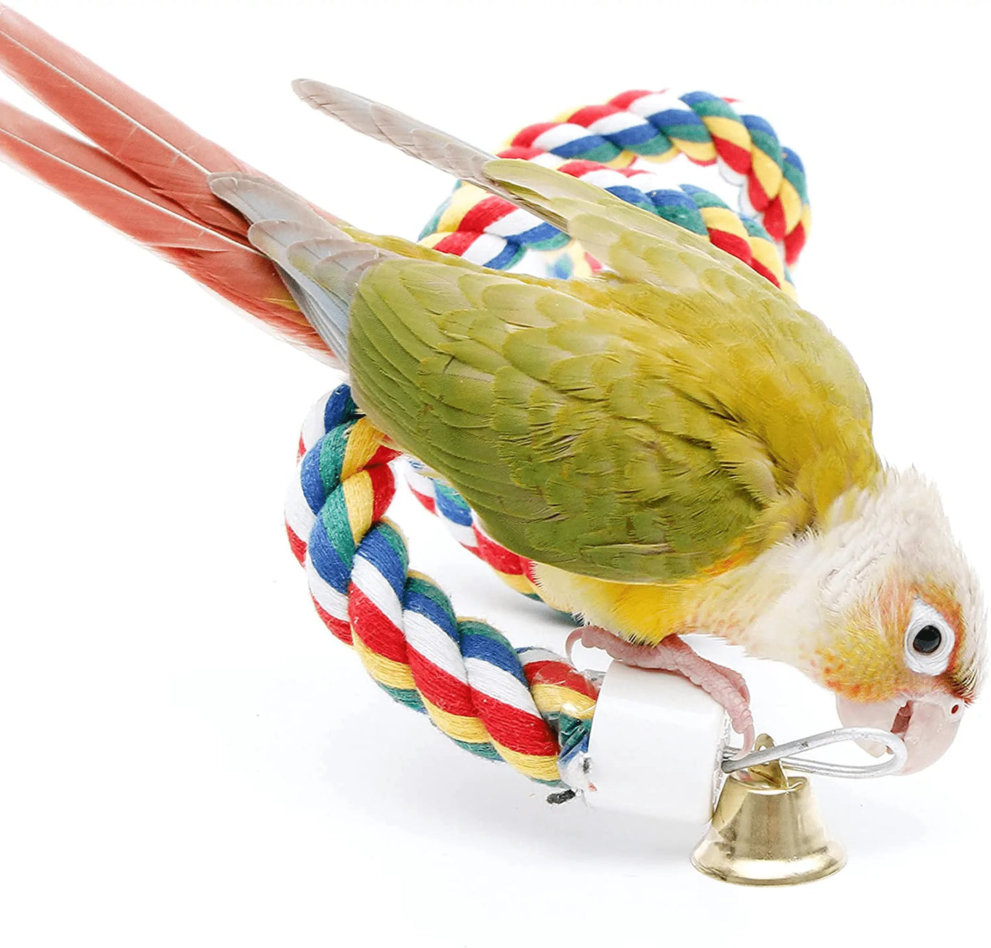 Youngever 2 Pack Birds Toys, Bird Ropes, Bungee Bird Toys, Bird Perches Animals & Pet Supplies > Pet Supplies > Bird Supplies > Bird Ladders & Perches Youngever