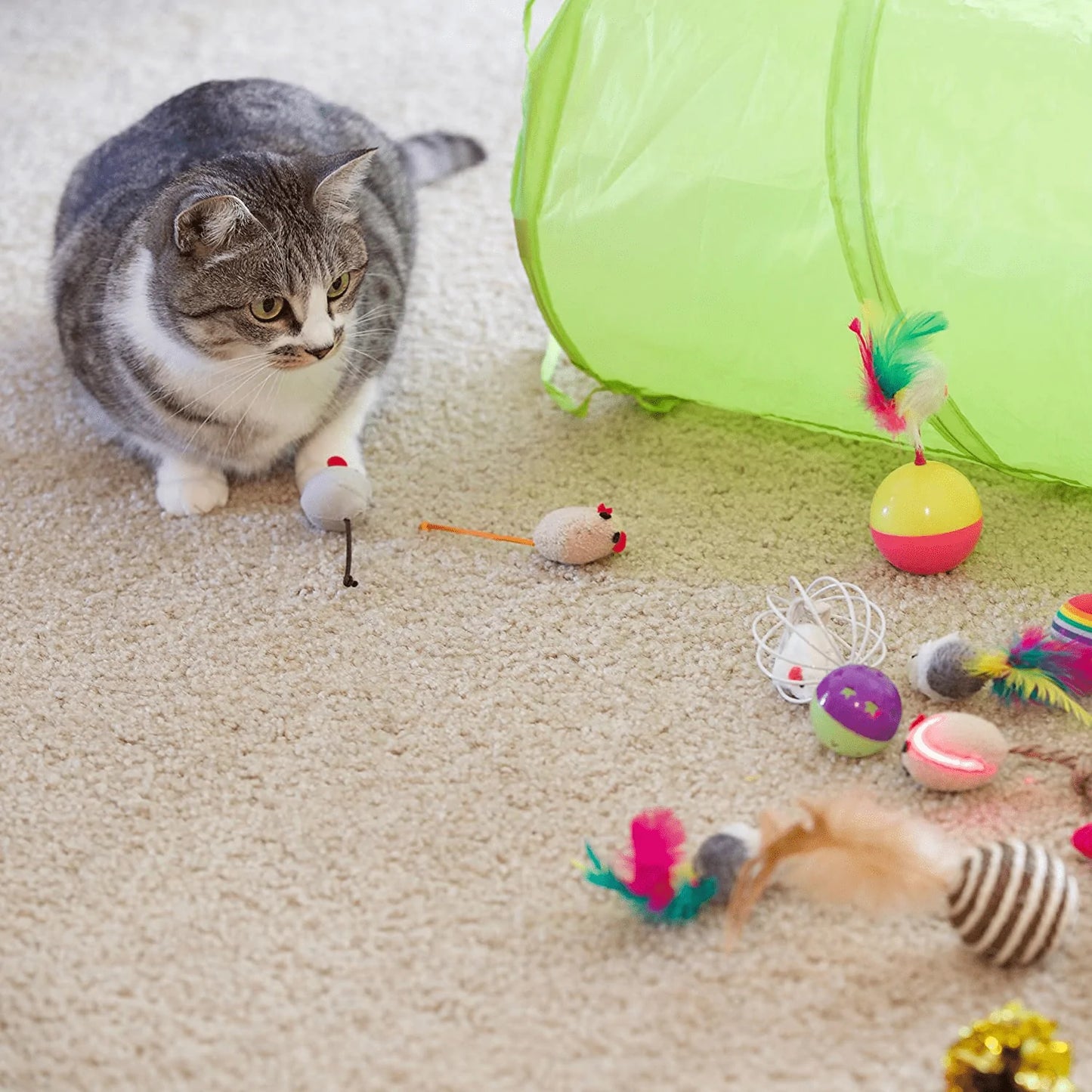 Youngever 24 Cat Toys Kitten Toys Assortments, Tunnel, Interactive Cat Teaser, Fluffy Mouse, Crinkle Balls for Cat, Kitty, Kitten Animals & Pet Supplies > Pet Supplies > Cat Supplies > Cat Toys Youngever LLC