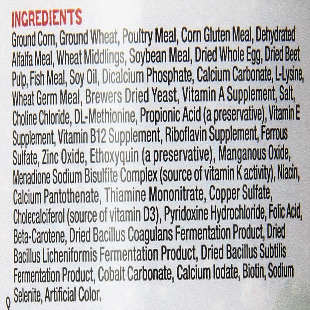 Zilla Bearded Dragon Extruded Food Pellets 6.5 Ounces Animals & Pet Supplies > Pet Supplies > Small Animal Supplies > Small Animal Food Central Garden and Pet