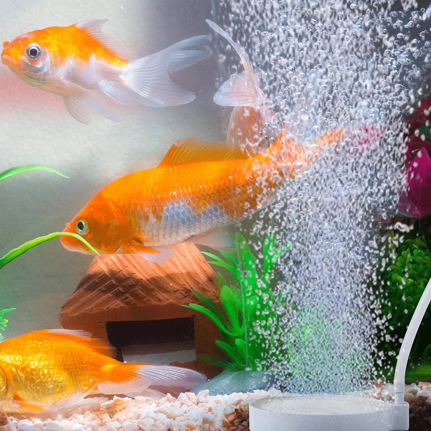 ZRDR Air Stone Aquarium Oxygen Stone Fish Tank Bubbler with Suction Cups, Bubble Stone Tubing, Check Valve, Air Control Valve, Ultra-High Dissolved Air Atone Disc Bubble Diffuser Animals & Pet Supplies > Pet Supplies > Fish Supplies > Aquarium Air Stones & Diffusers ZRDR