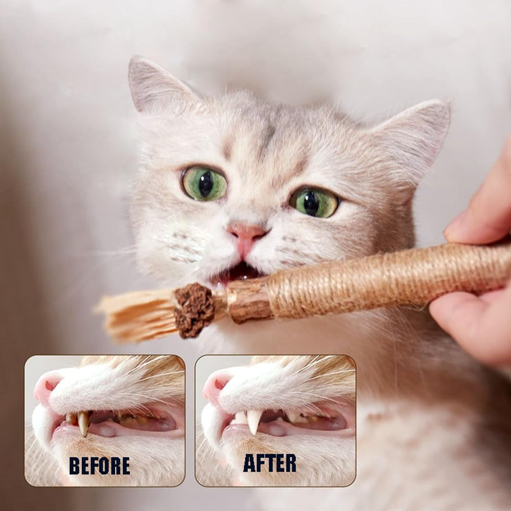 3 Pcs Silvervine Chew Sticks for Cats, Catnip Toy Kitty Natural Stuff with Catnip Snack Grinding Interactive Exercise Cat Kitten Toys for Cleaning Teeth & Chewers Dental Care