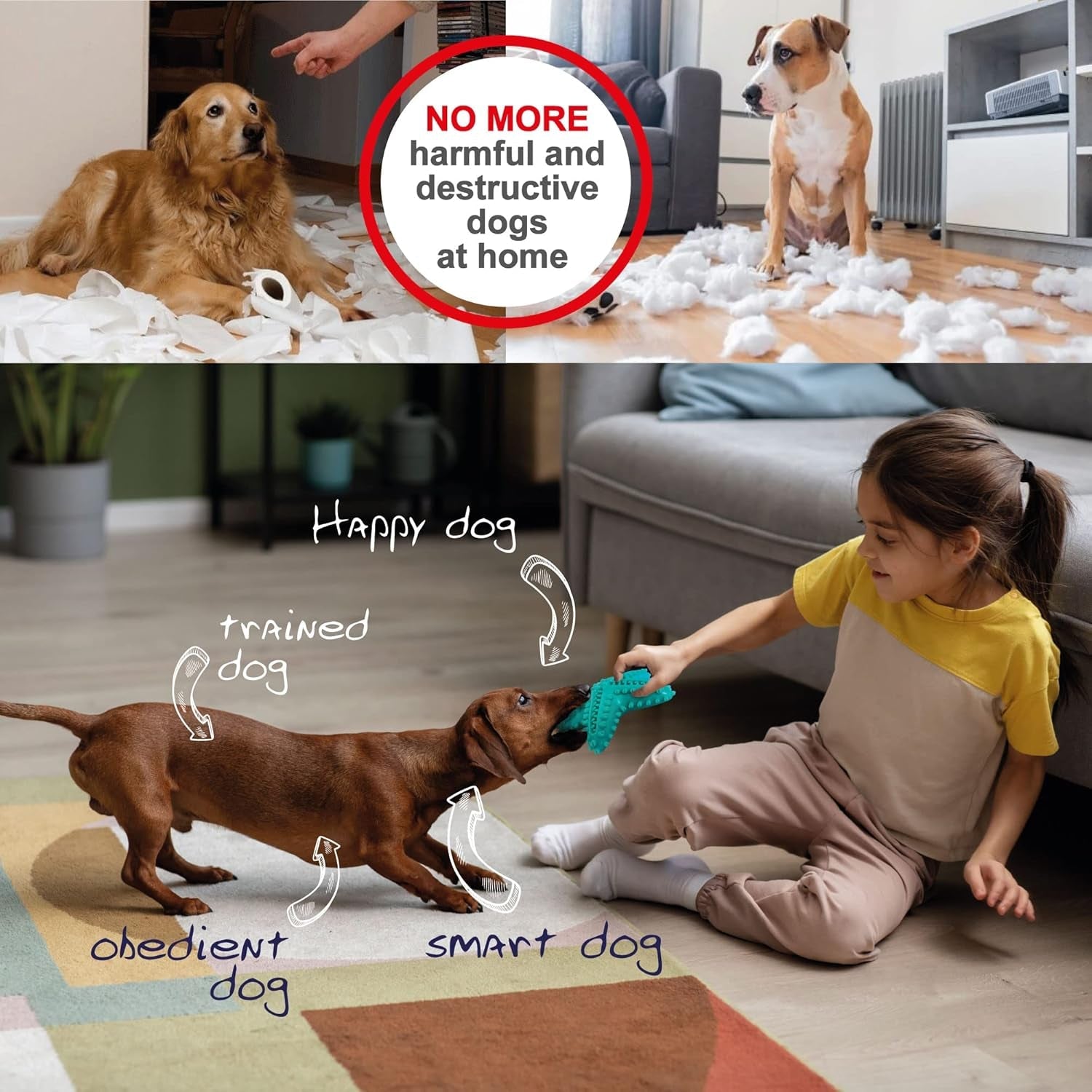 4 Pack-Interactive Toys for Dogs. Suction Cup Toy, Wind up Toy, Squeaking Chicken Leg, Rope to Pull, Teeth Cleaning, Food Dispensing, Squeeze, Chewing, Training Agility. Accessories for Most Puppies.