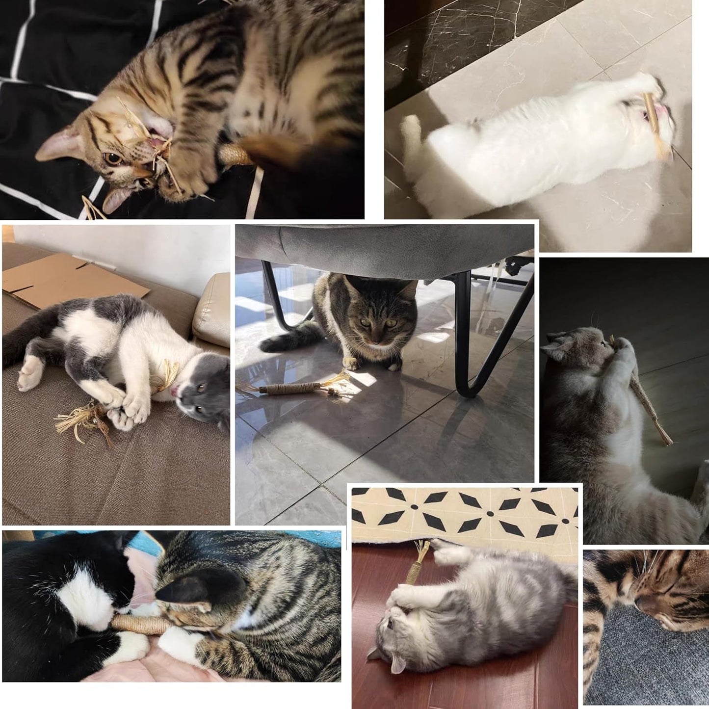 Chew Toys for Cats(12 Pcs), Silvervine Sticks for Cats ，Cat Teething Toys, Catnip Chew Sticks ，Cat Toys for Indoor Cat Kitten Teeth Grinding，Silvervine Cat Feather Toy, Cat Chew Toy