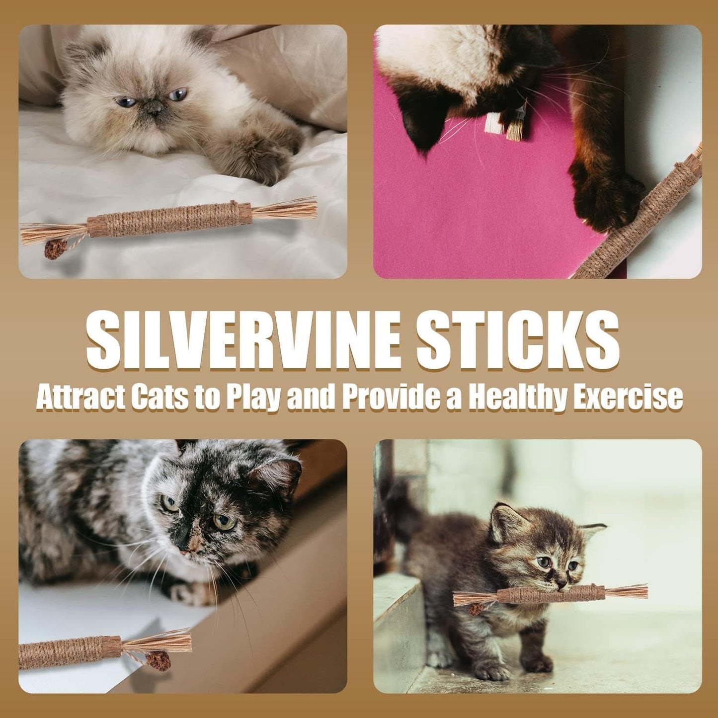 3Pcs Natural Silvervine Sticks, Silvervine Catnip Chew Sticks Cat Toys for Cats Kitten Teething Toys Teeth Cleaning Toy