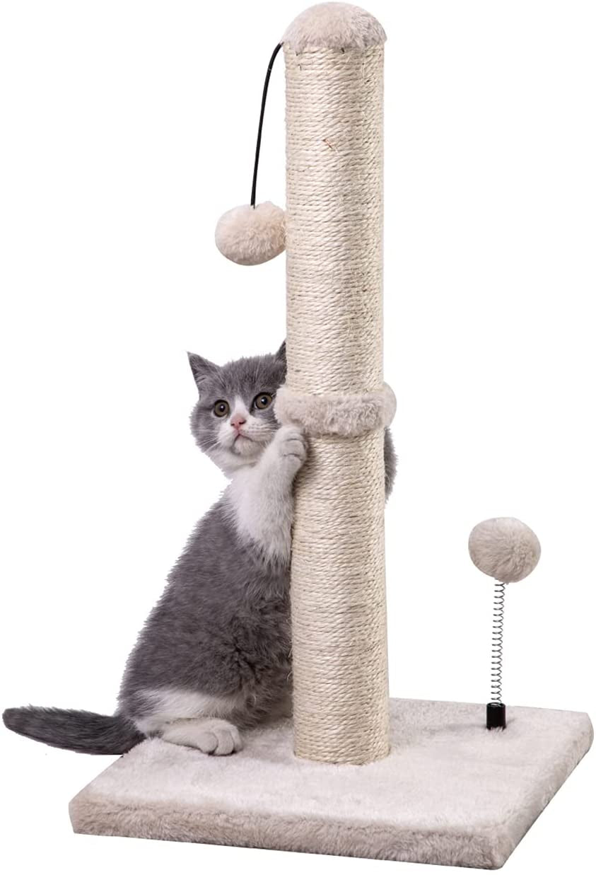 34“ Tall Cat Scratching Post Premium Basics Kitten Scratcher Sisal Scratch Posts Trees with Hanging Ball for Indoor Cats (34 Inches for Adult Cats, Cactus Green)