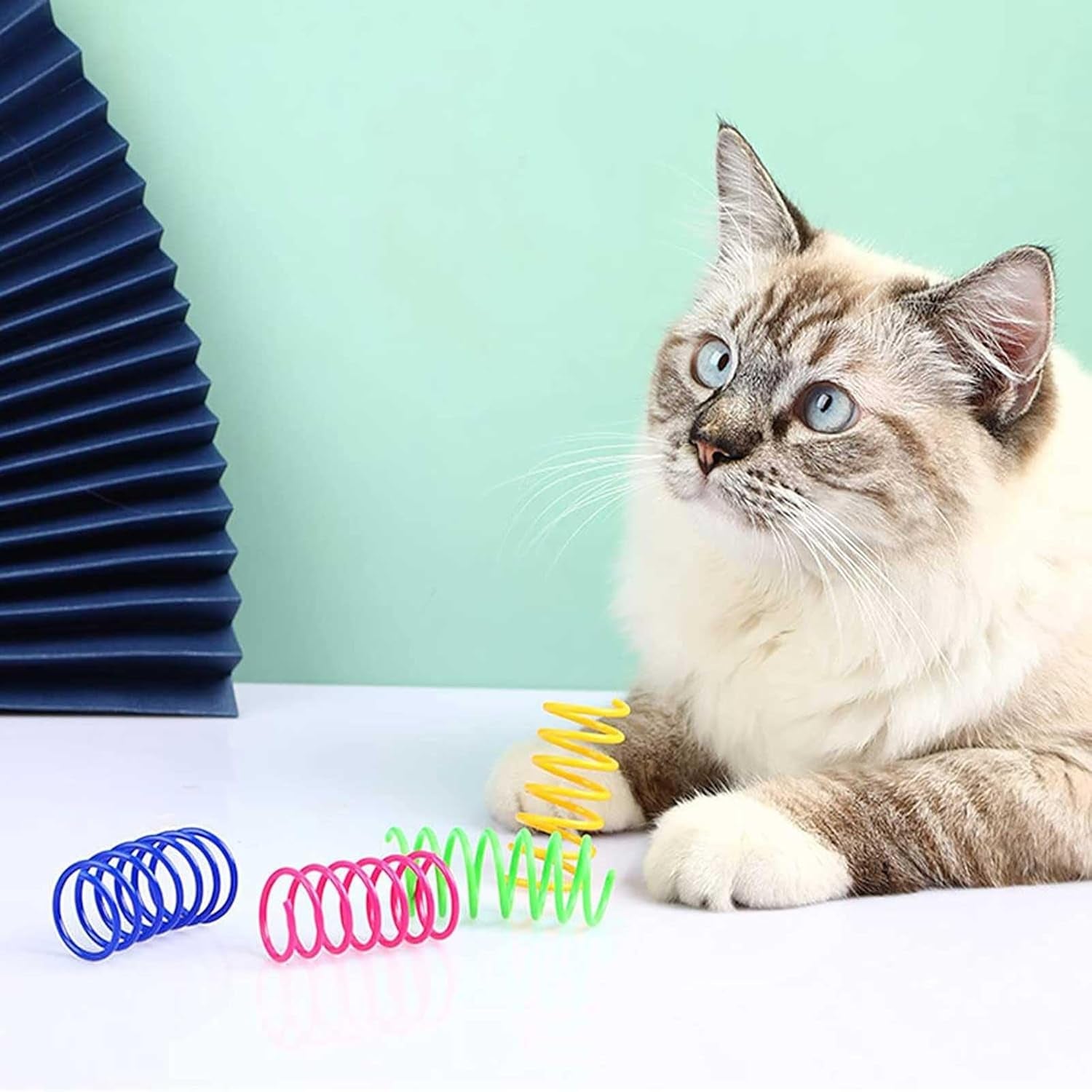 100 PCS Pet Wide Colorful Springs Cat Toys Plastic Coil Spiral Springs for Cat Pet Interactive Cat for Indoor Cats Durable Plastic Coil