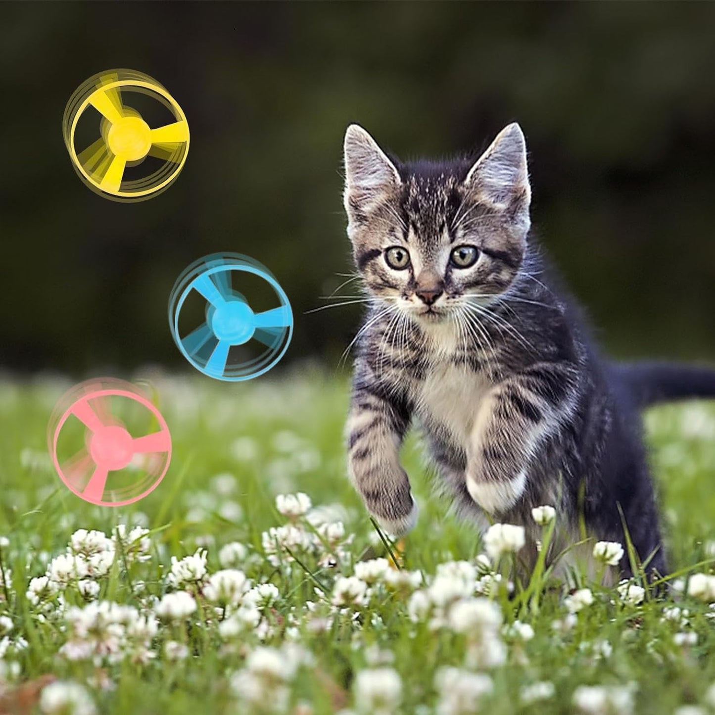 12 PCS Cat Fetch Toy with Colorful Flying Propellers Set, Cat Playing Tracking Interactive Toys for Kitten Chasing Training Hunting (Pink&Blue Wing)