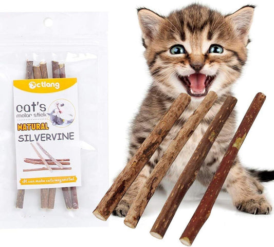 20PCS Cat Catmint Sticks Natural Matatabi Silvervine Sticks, Kittens Chew Stick Toys Teeth Molar Tools Dental Cleaning, 100% Organic Silver Vine Treats Molar Chew Toy for Cat Kitten